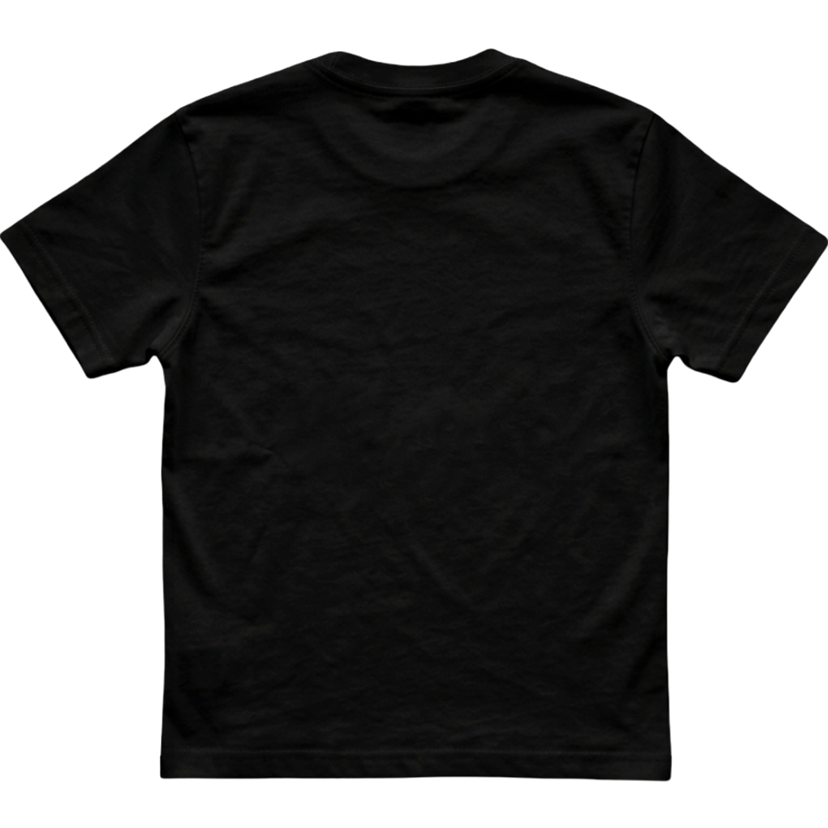 WILClothing Blanks - BLACK - Unisex Classic Fit